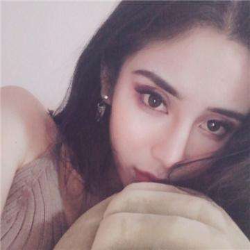 捕鸟达人旧版下载